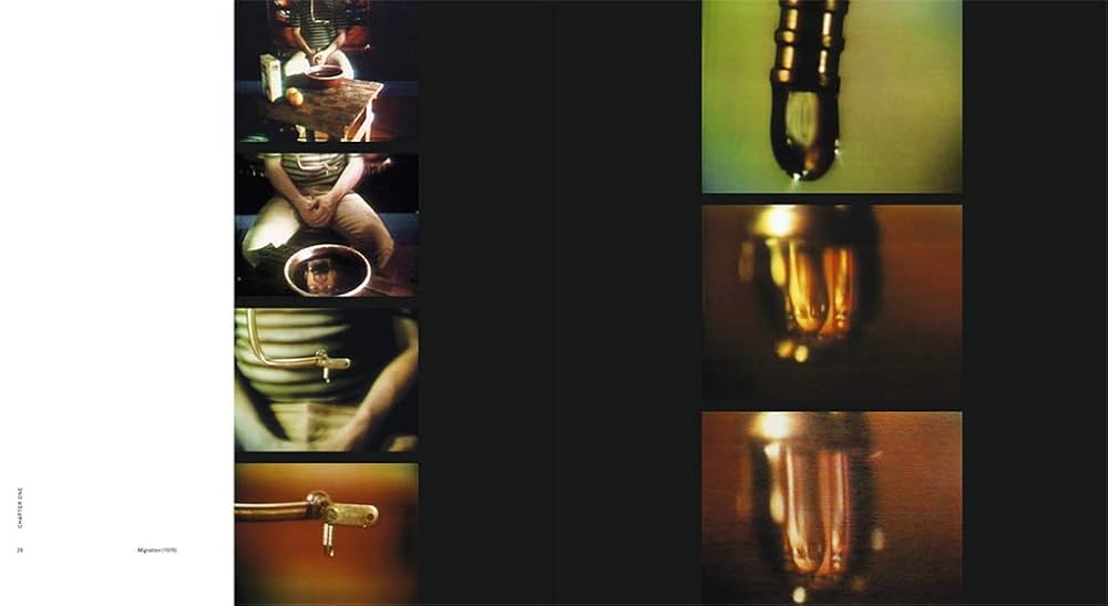 Amazon | Bill Viola | Hanhardt, John G., Perov, Kira
